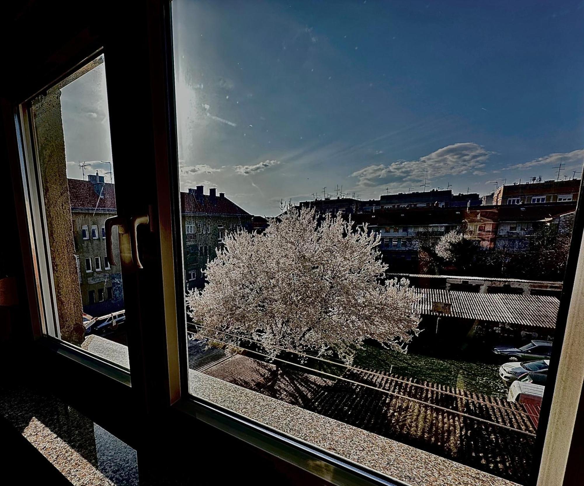 Apartman Pannonica Pin 0-24H Slavonski Brod Exterior foto